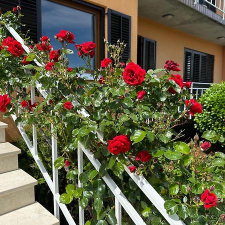 Casa Bruna Labin  Ngoại thất bức ảnh