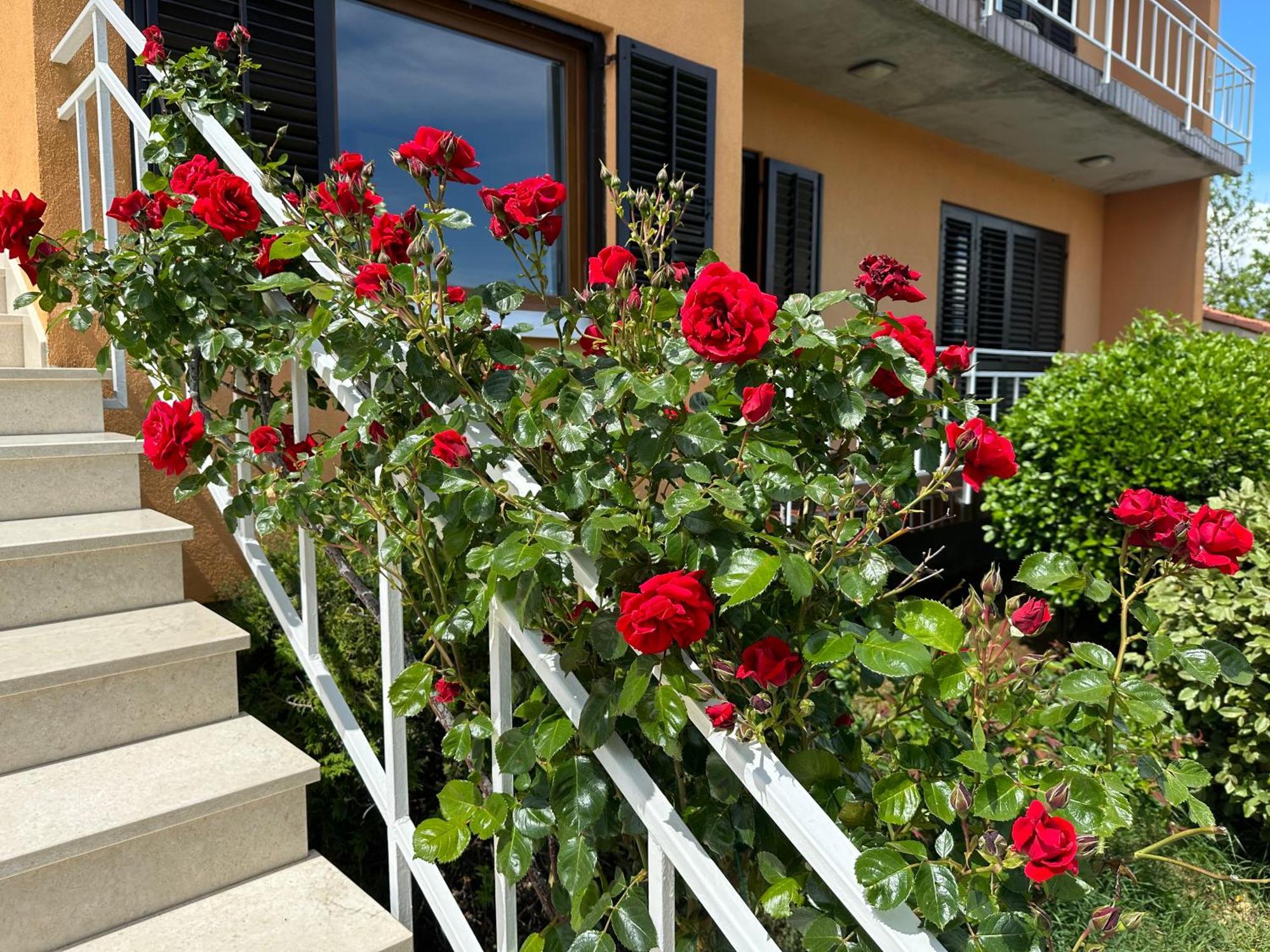 Casa Bruna Labin  Ngoại thất bức ảnh